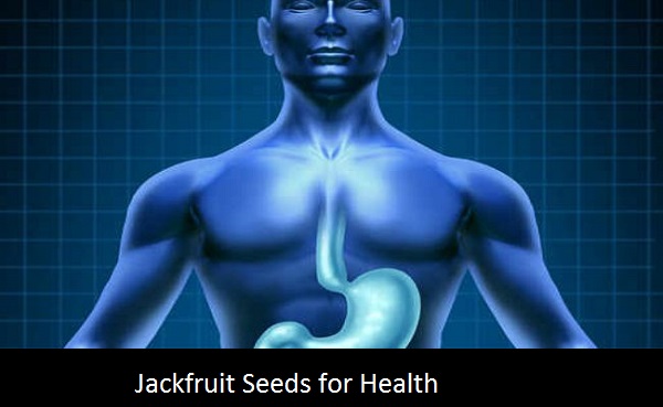 Jackfruit Seeds for Skin, Health and Hair – Worth Appreciating | Healthy  Tips